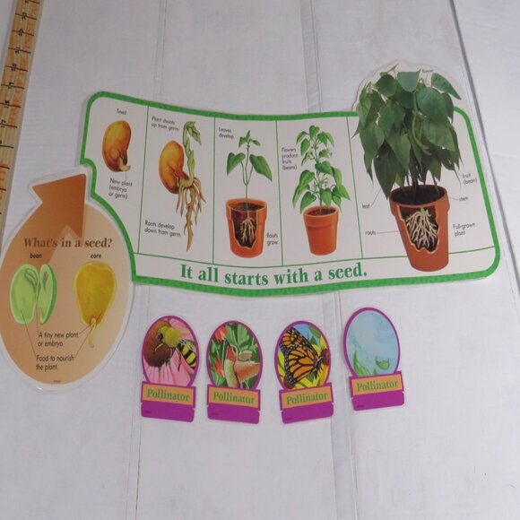 Plants on the Grow Extra Large BULLETIN BOARD SET LAMINATED  Classroom Posters - Picture 4 of 12
